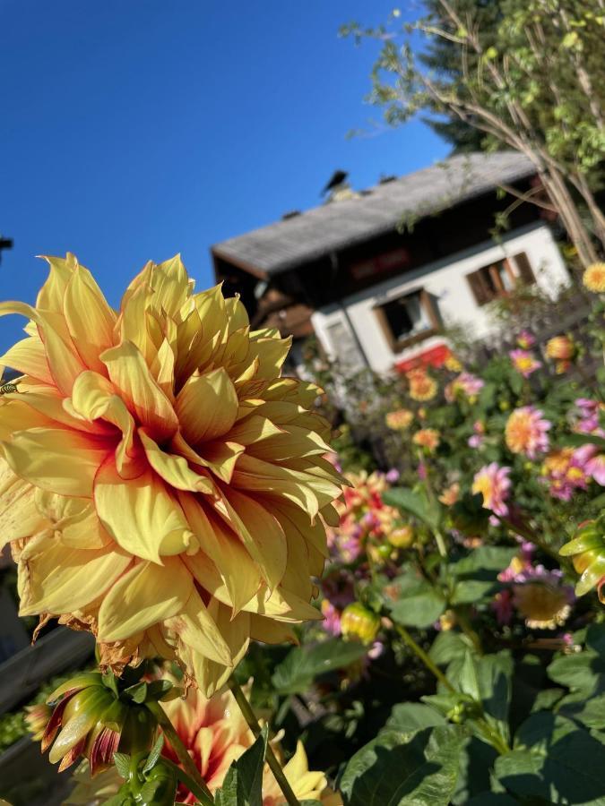 Chalet Franzi - Das Family-Ferienhaus Mit Gratiseintritt Ins Solarbad Dorfgastein Εξωτερικό φωτογραφία